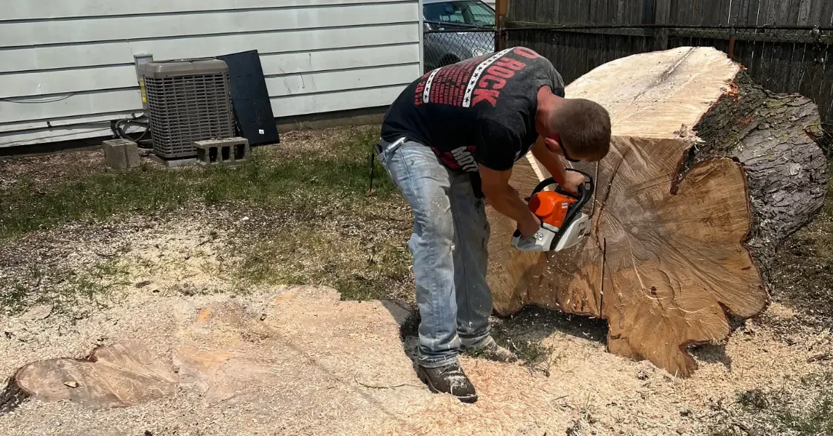 Stump Grinding in Canton, MI