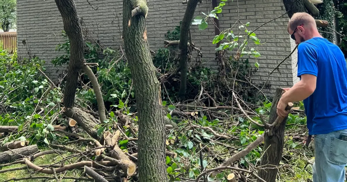 Brush Removal Canton, MI