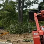 brush clearing services near me