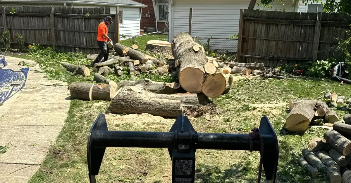 Tree Removal in Canton, MI